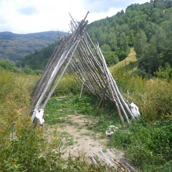 Aventure préhistorique dans les Pyrénées-Orientales
