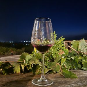 Dégustation vins sardes