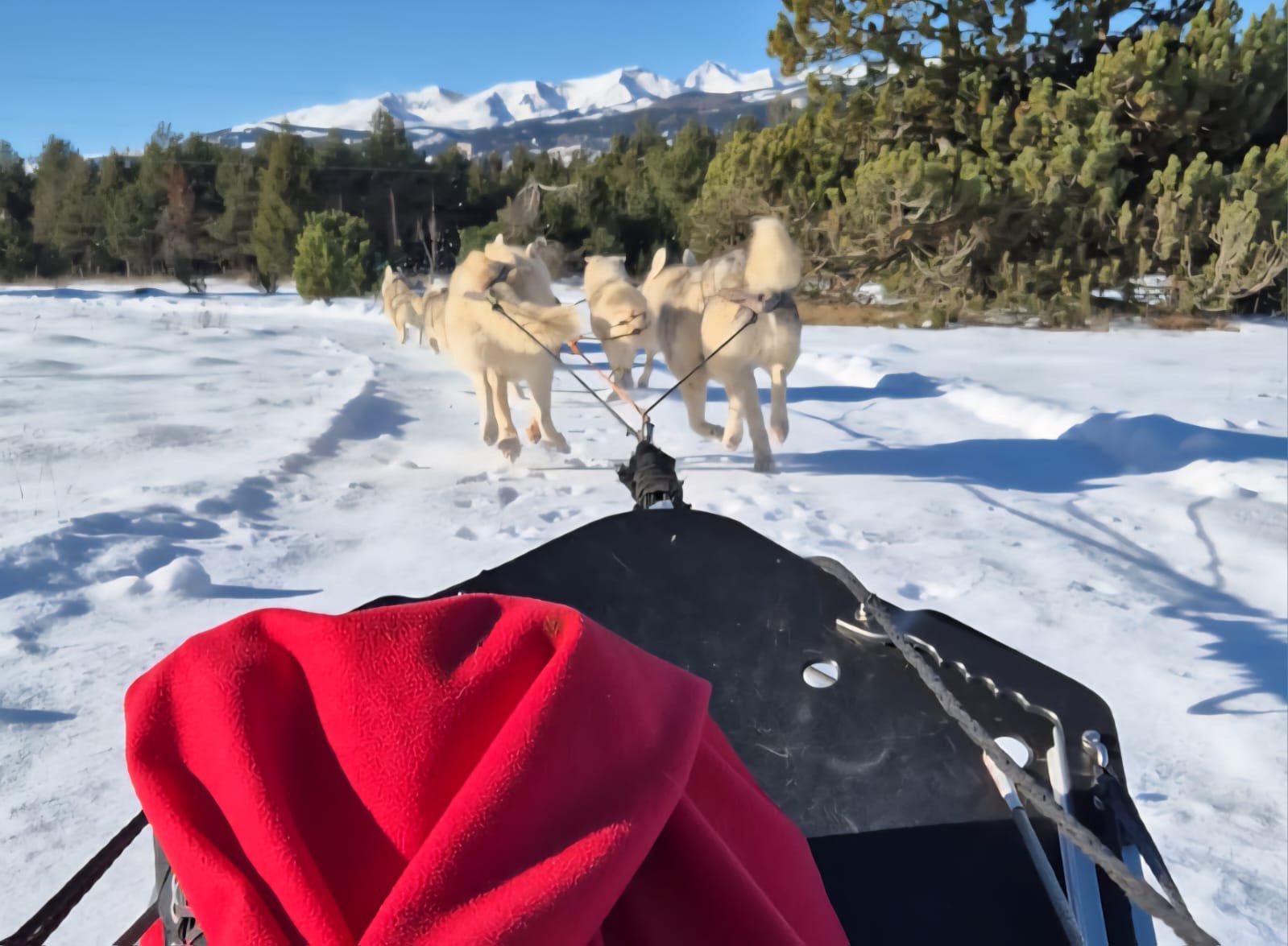 Balade en chiens de Traineau font Romeu
