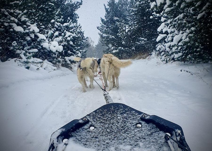 que faire en hiver dans les pyrenees-orientales